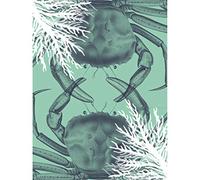 Wee Blue Coo Crab And Coral Collage Art Print Canvas Premium Wall Decor Poster