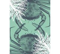 Wee Blue Coo Crab And Coral Collage Art Print Poster Wall Decor