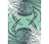 Wee Blue Coo Crab And Coral Collage Unframed Art Print Poster Wall Decor 12x16 inch