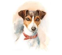 Wee Blue Coo Dog Jack Russell Watercolour Art Print Poster Wall Decor 12X16 Inch
