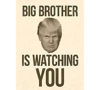 Wee Blue Coo Donald Trump Big Brother Is Watching You George Orwell Art Print Poster Wall Decor 12X16 Inch