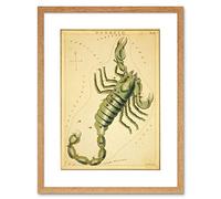 Wee Blue Coo Drawing Star Map Scorpio Scorpion Constellation Picture Framed Wall Art Print