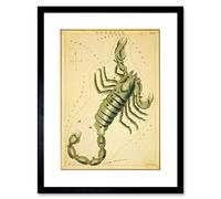 Wee Blue Coo Drawing Star Map Scorpio Scorpion Constellation Picture Framed Wall Art Print