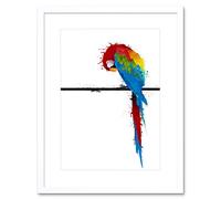 Wee Blue Coo Dt Paint Splat Parrot Art Framed Wall Art Print