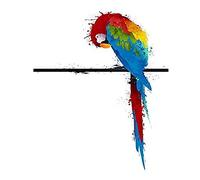 Wee Blue Coo Dt Paint Splat Parrot Art Large Art Print Poster Wall Decor 18x24 inch