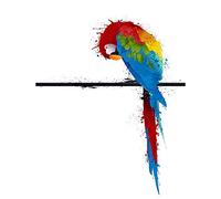 Wee Blue Coo Dt Paint Splat Parrot Art Print Poster Wall Decor 12X16 Inch