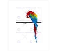 Wee Blue Coo Dt Paint Splat Parrot Art Wall Art Print