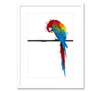 Wee Blue Coo Dt Paint Splat Parrot Bird Wood Frame Picture Framed Wall Art Print
