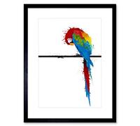 Wee Blue Coo DT PAINT SPLAT PARROT BLACK FRAME FRAMED ART PRINT PICTURE MOUNT B12X8654