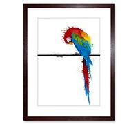 Wee Blue Coo Dt Paint Splat Parrot + Photo Framed Wall Art Print