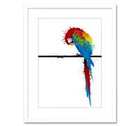 Wee Blue Coo Dt Paint Splat Parrot + Photo Framed Wall Art Print