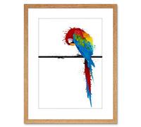 Wee Blue Coo Dt Paint Splat Parrot + Photo Framed Wall Art Print