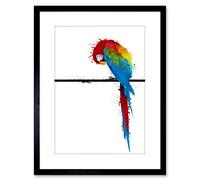 Wee Blue Coo Dt Paint Splat Parrot + Photo Framed Wall Art Print