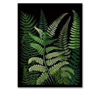 Wee Blue Coo Elegant Botanical Nature Foliage Artwork Fern Fronds Green on Black Artwork Framed Wall Art Print A4