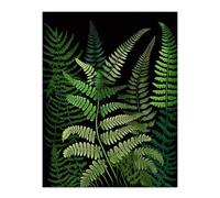 Wee Blue Coo Elegant Botanical Nature Foliage Artwork Fern Fronds Green on Black Extra Large XL Wall Art Poster Print