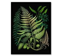 Wee Blue Coo Elegant Fern Fronds Botanical Nature Foliage Artwork Green on Black Artwork Framed Wall Art Print A4