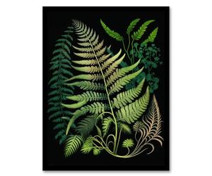 Wee Blue Coo Elegant Fern Fronds Botanical Nature Foliage Artwork Green on Black Artwork Framed Wall Art Print A4