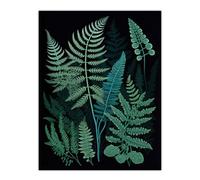 Wee Blue Coo Elegant Fern Fronds Botanical Nature Foliage Artwork Teal Blue Green on Black Extra Large XL Wall Art Poster Print