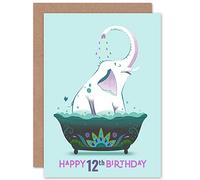 Wee Blue Coo Elephant Bath Birthday 12th Greetings Card