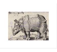 Wee Blue Coo Enea Vico Albrecht Durer Italian Rhinoceros Wall Art Print