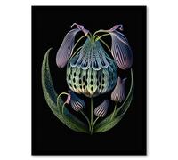 Wee Blue Coo Ernst Haeckel Style Botanical Artwork Blue Orange Purple Plant Blooming Flowers Artwork Framed Wall Art Print A4