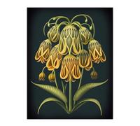 Wee Blue Coo Ernst Haeckel Style Concept Artwork Green Orange Plant Blooming Flowers Large Wall Art Poster Print Thick Paper 18X24 Inch