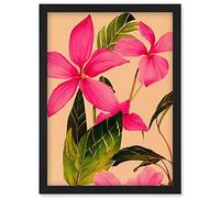 Wee Blue Coo Exotic Pink Plumeria Flower Plant Blooms Watercolour Pencil Illustration Artwork Framed Wall Art Print A4