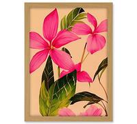 Wee Blue Coo Exotic Pink Plumeria Flower Plant Blooms Watercolour Pencil Illustration Artwork Framed A3 Wall Art Print