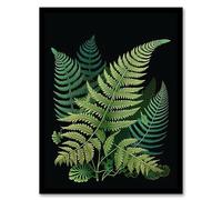 Wee Blue Coo Fern Fronds Botanical Nature Elegant Foliage Artwork Green on Black Artwork Framed Wall Art Print A4