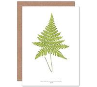 Wee Blue Coo Fern Polypodium Hexagonopterum Greeting Card With Envelope Inside Premium Quality