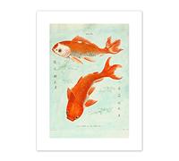 Wee Blue Coo Fish Japanese Koi Art Print Canvas Premium Wall Decor Poster