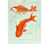 Wee Blue Coo Fish Japanese Koi Art Print Poster Wall Decor 12X16 Inch