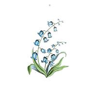 Wee Blue Coo Flower Bluebells Illustration Art Print Poster Wall Decor 12X16 Inch