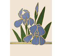 Wee Blue Coo Flower Iris Vintage Advert Flower Boddingtons Unframed Art Print Poster Wall Decor 12x16 inch
