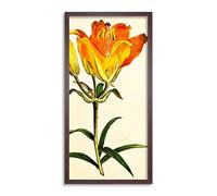 Wee Blue Coo Flower Lily OrangePetals Long Panel Framed Wall Art Print