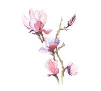 Wee Blue Coo Flower Magnolia Watercolour Large Wall Art Print Canvas Premium Poster
