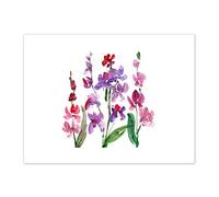 Wee Blue Coo Flower Orchid Watercolour Art Print Canvas Premium Wall Decor Poster