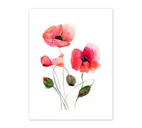 Wee Blue Coo Flower Poppies Watercolour Art Print Canvas Premium Wall Decor Poster