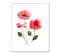 Wee Blue Coo Flower Poppies Watercolour Art Print Framed Poster Wall Decor 12x16 inch