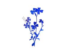 Wee Blue Coo Flower Silhouette Blue Virginian 12X16 Wall Art Print