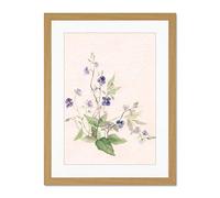 Wee Blue Coo Flower Veronica Watercolour Large Framed Art Print Wall Poster 18x24 inch
