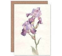 Wee Blue Coo Flower Violet Iris Watercolour Greeting Card With Envelope Inside Premium Quality