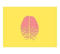Wee Blue Coo Fractured Brain Cracks Yellow Unframed Wall Art Print Poster Home Decor Premium