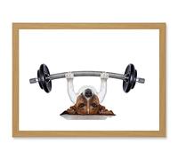 Wee Blue Coo Funny Photo Jack Russell Dog Personal Trainer Weight Lifter Artwork Framed Wall Art Print A4
