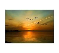 Wee Blue Coo Gease Bird Formation Sunset Lake Photo Wall Art Print