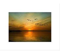Wee Blue Coo Geese Bird Formation Sunset Lake Art Picture Wall Art Print