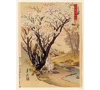 Wee Blue Coo Gekko Japan Resting Only Art Print Poster Wall Decor 12X16 Inch