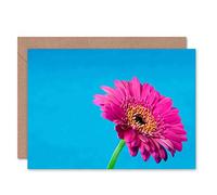 Wee Blue Coo GERBERA DAISY FLOWER PINK CLOSE UP BLANK GREETINGS BIRTHDAY CARD ART