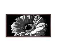 Wee Blue Coo Gerbera Flower Head Long Panel Framed Wall Art Print