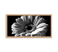 Wee Blue Coo Gerbera Flower Head Long Panel Framed Wall Art Print